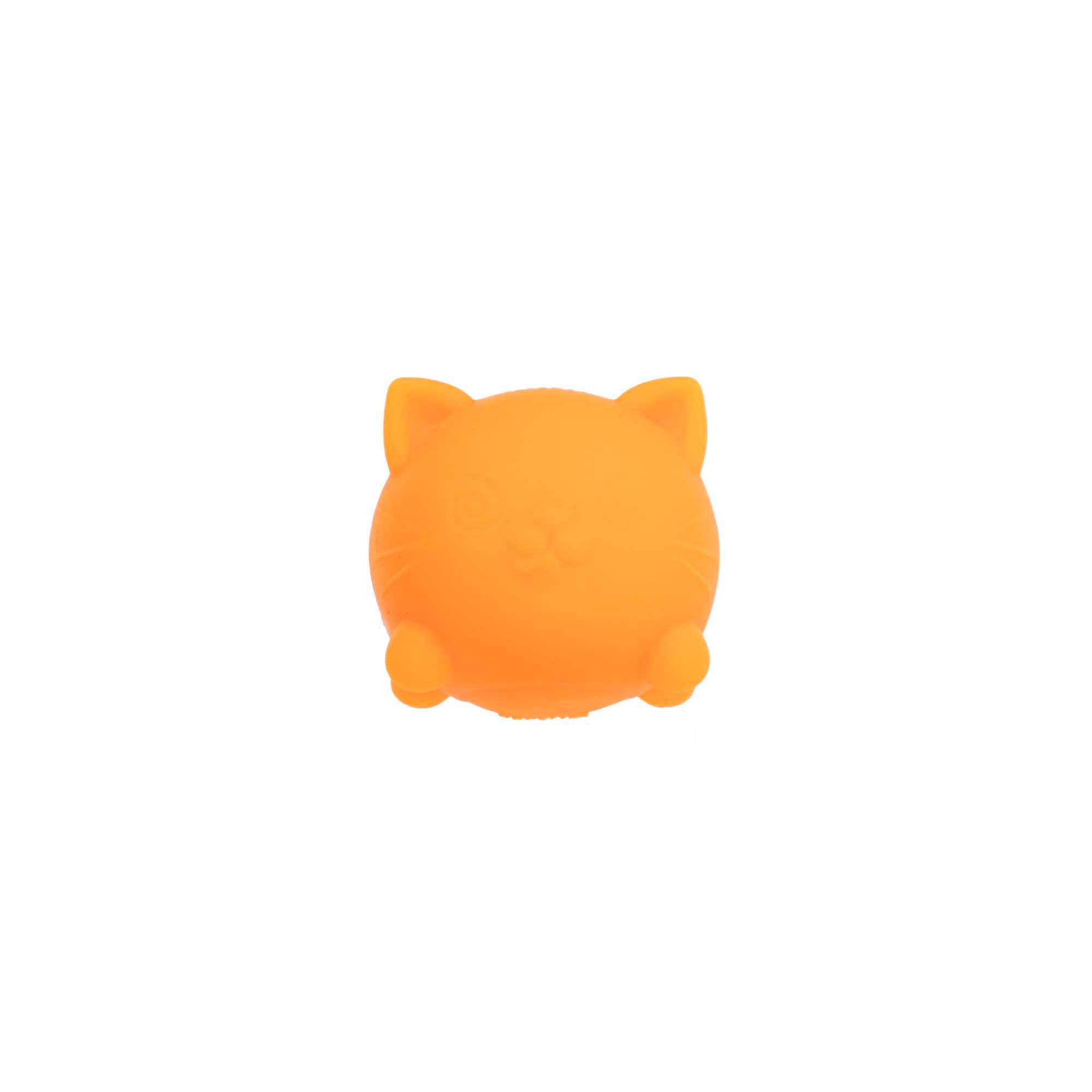 Teenie Cool Kittens Multipack Y0 - MPCCTND_Image8